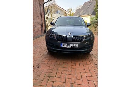 Skoda Karoq Gebrauchtwagen