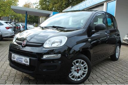 Fiat Panda Gebrauchtwagen