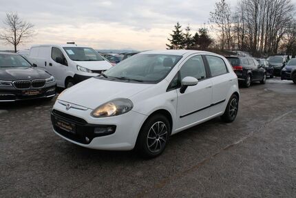 Fiat Punto Gebrauchtwagen