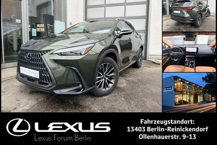 Lexus NX 450h Gebrauchtwagen
