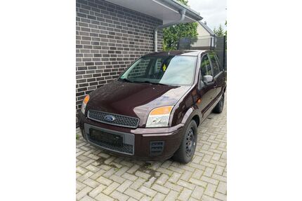 Ford Fusion Gebrauchtwagen