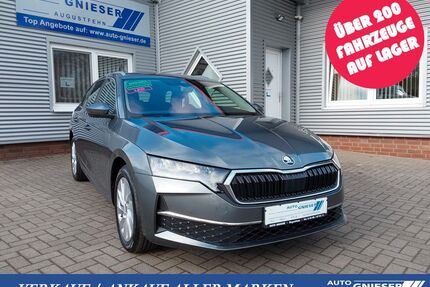 Skoda Octavia Gebrauchtwagen