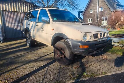 Nissan Terrano Gebrauchtwagen