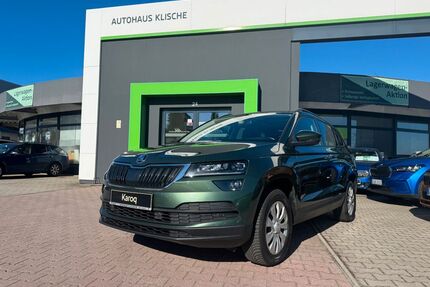 Skoda Karoq Gebrauchtwagen
