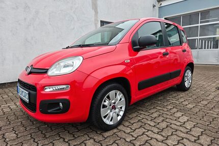 Fiat Panda Gebrauchtwagen