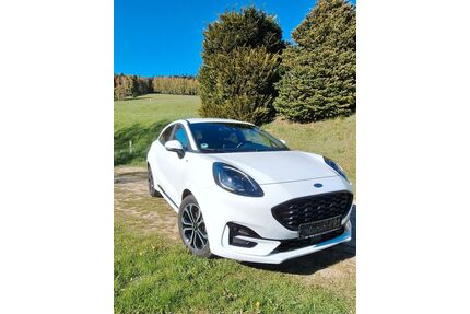 Ford Puma Gebrauchtwagen