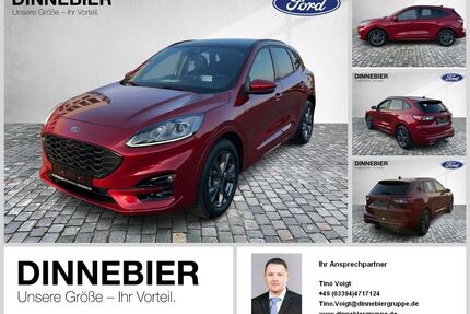 Ford Kuga Gebrauchtwagen