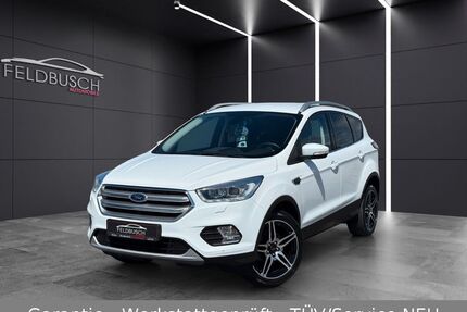 Ford Kuga Gebrauchtwagen