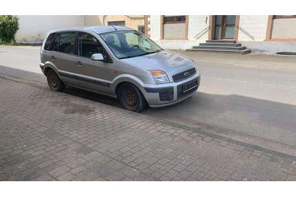 Ford Fusion Gebrauchtwagen