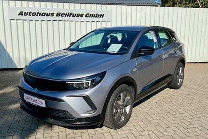 Opel Grandland (X) Gebrauchtwagen