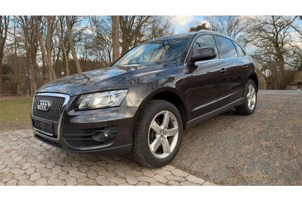 Audi Q5 Gebrauchtwagen