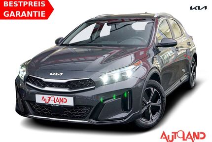 Kia XCeed Gebrauchtwagen