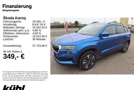 Skoda Karoq Gebrauchtwagen