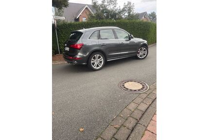 Audi SQ5 Gebrauchtwagen