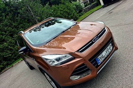 Ford Kuga Gebrauchtwagen
