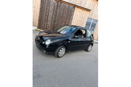 VW Lupo Gebrauchtwagen