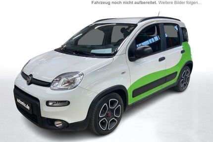 Fiat Panda Gebrauchtwagen