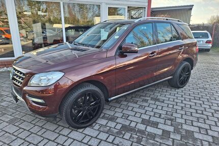 Mercedes-Benz ML 350 Gebrauchtwagen