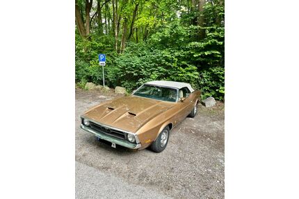 Ford Mustang Gebrauchtwagen