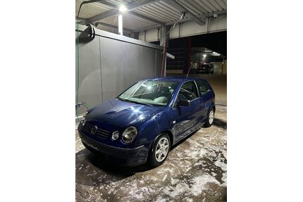 VW Polo Gebrauchtwagen