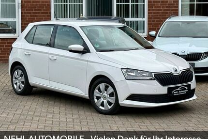 Skoda Fabia Gebrauchtwagen
