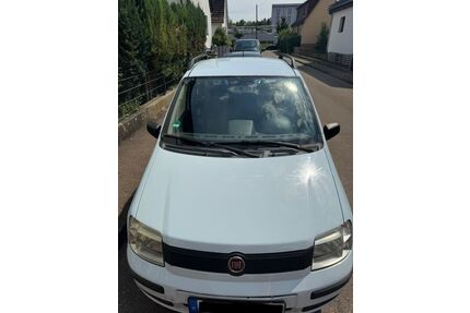 Fiat Panda Gebrauchtwagen