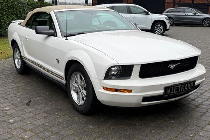 Ford Mustang Gebrauchtwagen