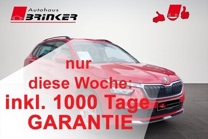 Skoda Kamiq Gebrauchtwagen