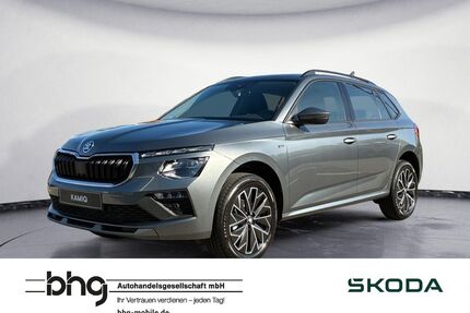 Skoda Kamiq Gebrauchtwagen