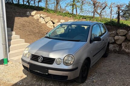 VW Polo Gebrauchtwagen