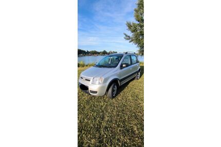 Fiat Panda Gebrauchtwagen