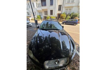 Jaguar XF Gebrauchtwagen