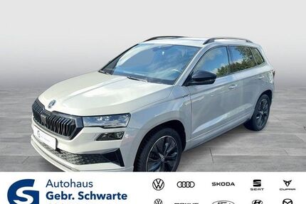 Skoda Karoq Gebrauchtwagen