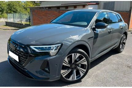 Audi Q8 e-tron Gebrauchtwagen