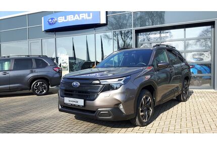 Subaru Forester Gebrauchtwagen