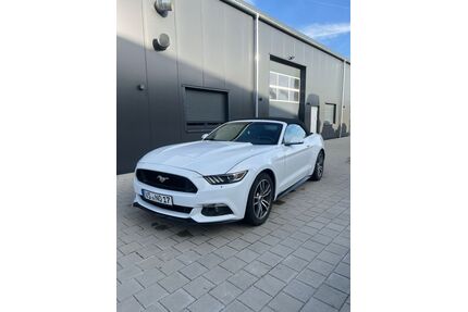 Ford Mustang Gebrauchtwagen