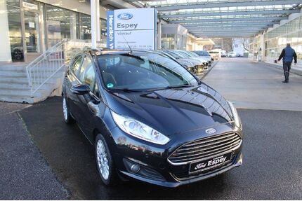 Ford Fiesta Gebrauchtwagen