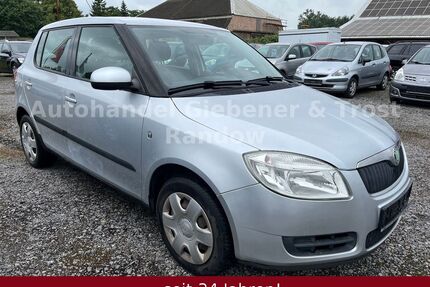 Skoda Fabia Gebrauchtwagen