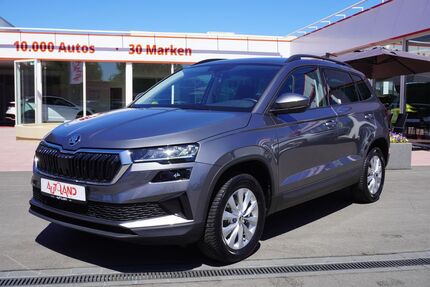 Skoda Karoq Gebrauchtwagen