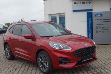Ford Kuga Gebrauchtwagen
