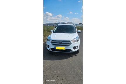 Ford Kuga Gebrauchtwagen