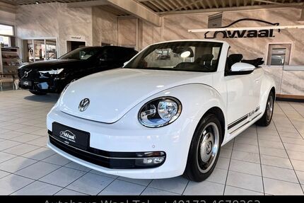 VW Beetle Gebrauchtwagen