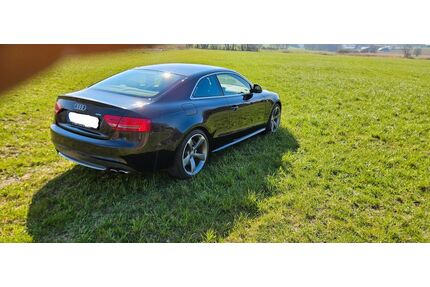 Audi S5 Gebrauchtwagen