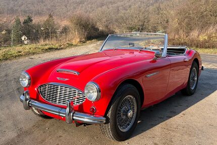 Austin Healey Andere Gebrauchtwagen