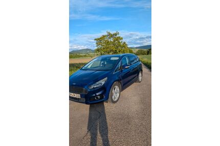 Ford S-Max Gebrauchtwagen