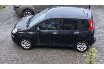 Fiat Panda Gebrauchtwagen