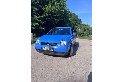 VW Lupo Gebrauchtwagen
