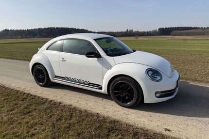 VW Beetle Gebrauchtwagen