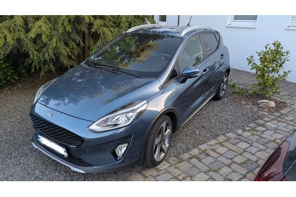 Ford Fiesta Gebrauchtwagen