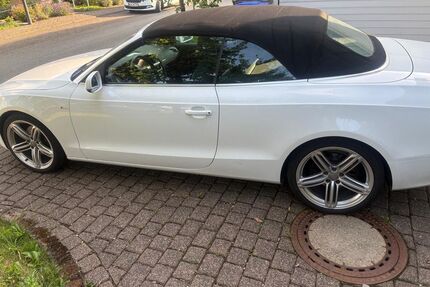 Audi A5 Gebrauchtwagen